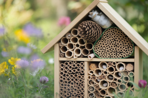 hotel-insectes-jardin-bambou-pommesdepin